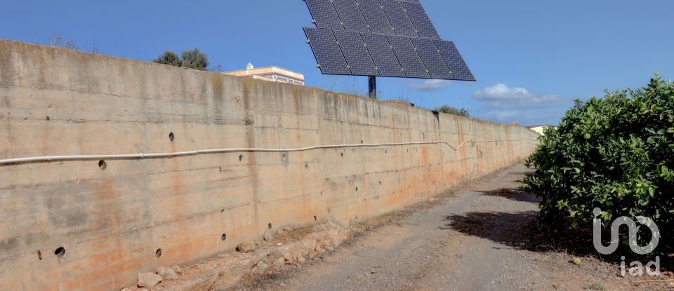 Quinta T7 em Quelfes de 102 150 m²