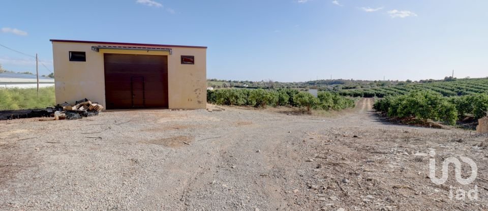 Quinta T7 em Quelfes de 102 150 m²