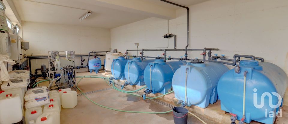 Quinta T7 em Quelfes de 102 150 m²