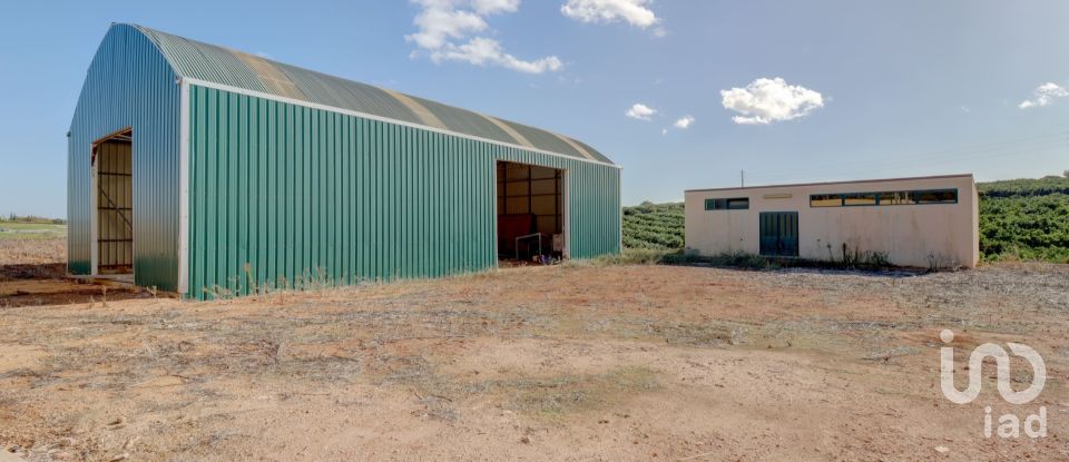 Quinta T7 em Quelfes de 102 150 m²