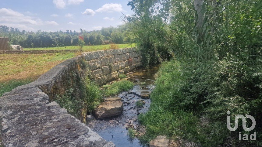 Terrain à Batalha de 4 345 m²