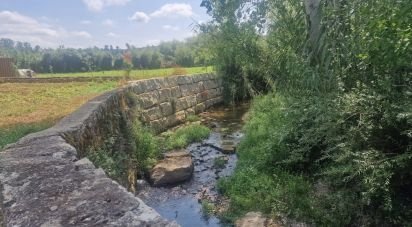 Terrain à Batalha de 4 345 m²