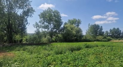 Terrain à Batalha de 4 345 m²