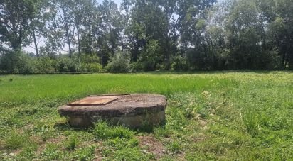 Terrain à Batalha de 4 345 m²