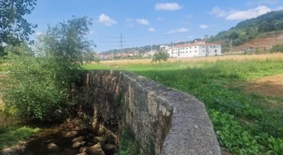 Terrain à Batalha de 4 345 m²