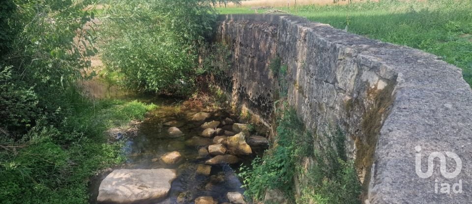 Terrain à Batalha de 4 345 m²