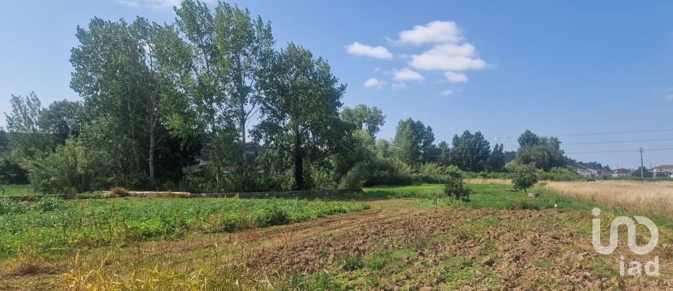 Terrain à Batalha de 4 345 m²