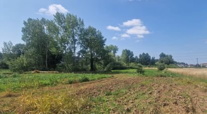 Terrain à Batalha de 4 345 m²