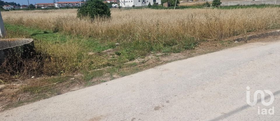 Terrain à Batalha de 4 345 m²