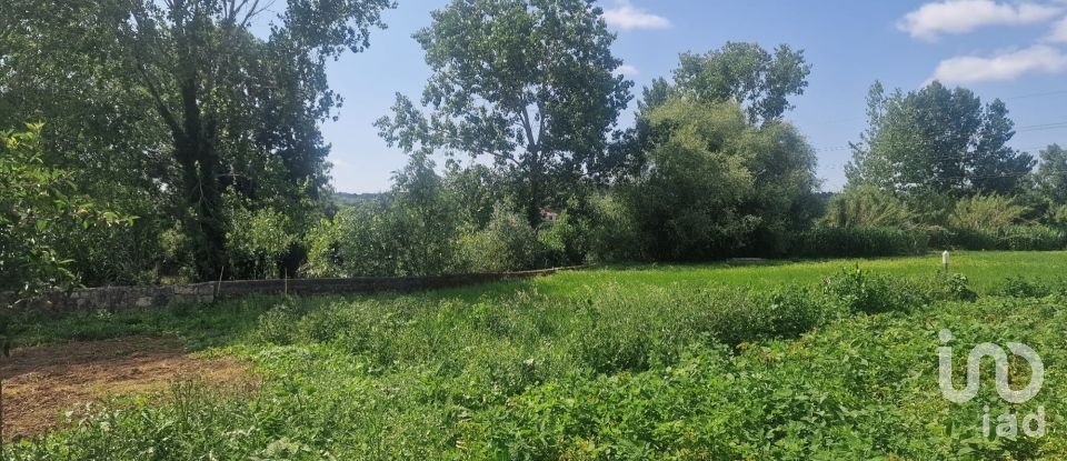 Terrain à Batalha de 4 345 m²