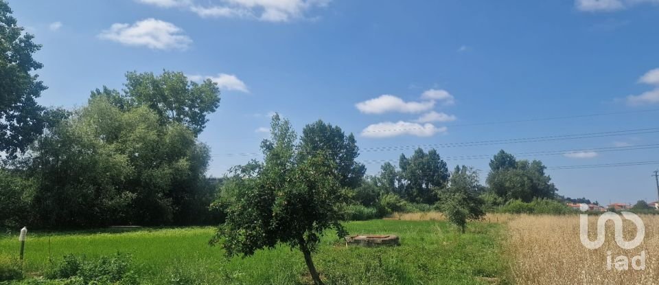 Terrain à Batalha de 4 345 m²