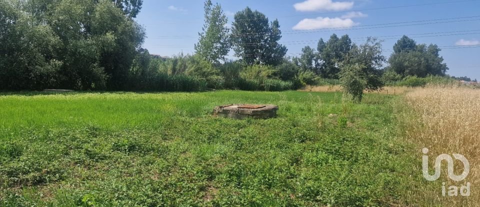 Terrain à Batalha de 4 345 m²