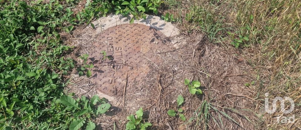 Terrain à Batalha de 4 345 m²