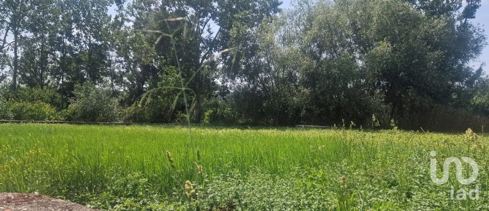 Terrain à Batalha de 4 345 m²