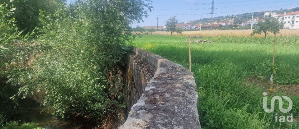 Terrain à Batalha de 4 345 m²