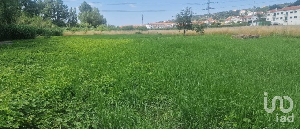 Terrain à Batalha de 4 345 m²