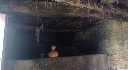 Gîte T0 à Barcos e Santa Leocádia de 79 m²