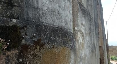 Gîte T0 à Barcos e Santa Leocádia de 79 m²