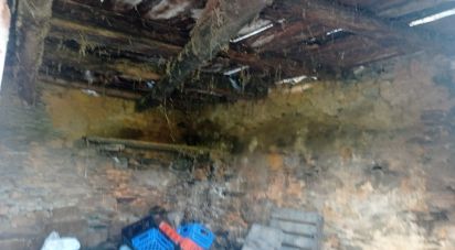 Gîte T0 à Barcos e Santa Leocádia de 79 m²