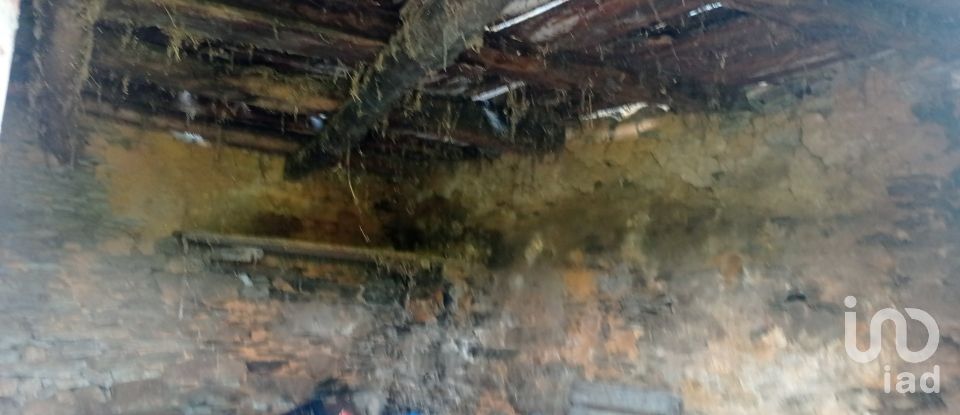 Gîte T0 à Barcos e Santa Leocádia de 79 m²