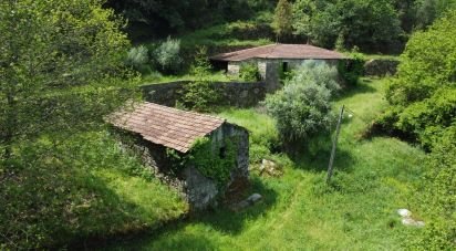 Land in Covas of 14,000 m²