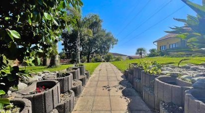 Bâtiment à Monte Redondo e Carreira de 320 m²