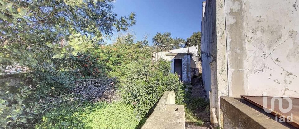 Village house T3 in Boliqueime of 287 m²