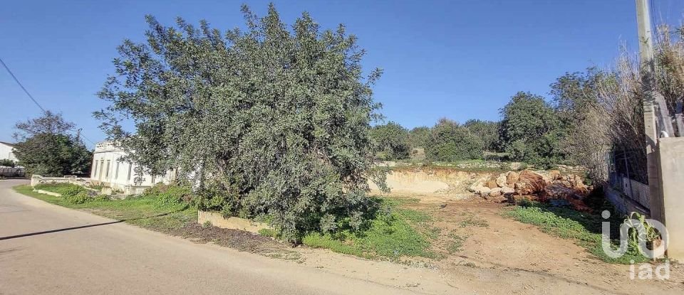 Village house T3 in Boliqueime of 287 m²