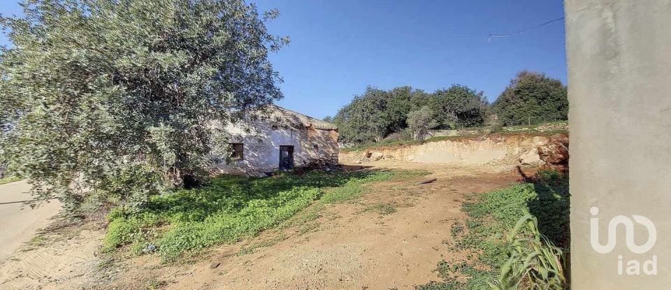 Village house T3 in Boliqueime of 287 m²