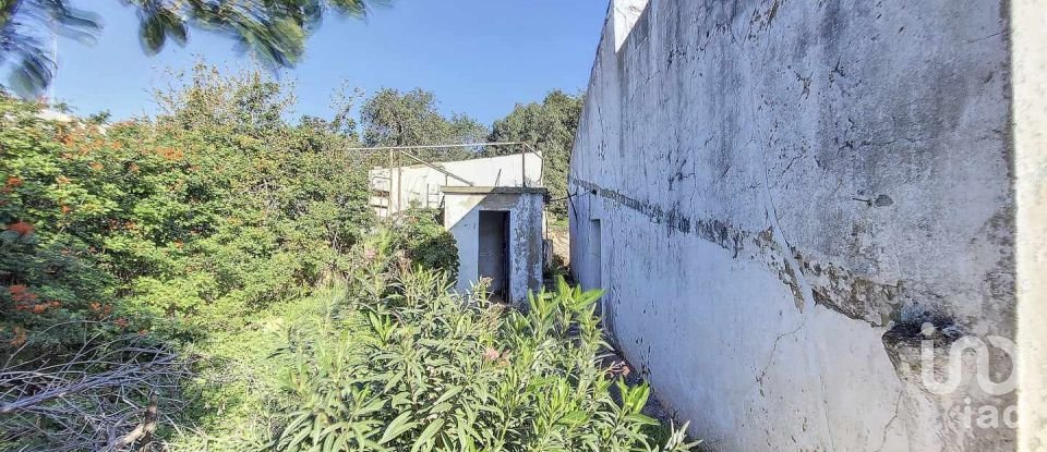 Village house T3 in Boliqueime of 287 m²