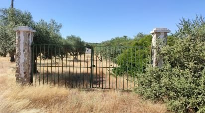 Terrain à São Brás e São Lourenço de 41 000 m²