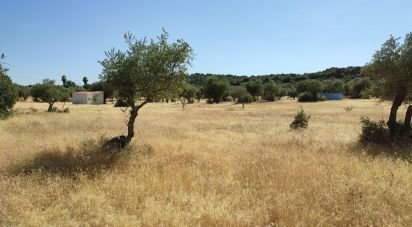 Terrain à São Brás e São Lourenço de 41 000 m²