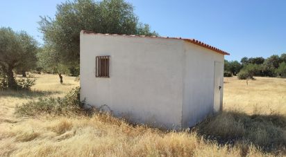 Terrain à São Brás e São Lourenço de 41 000 m²