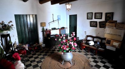 Gîte T8 à Fronteira de 874 m²