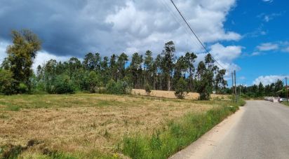 Land in Poiares (Santo André) of 1,170 m²