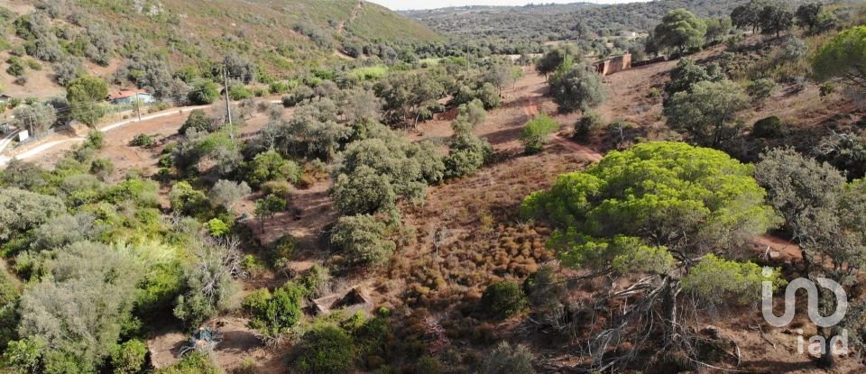 Building land in Mexilhoeira Grande of 195,520 m²