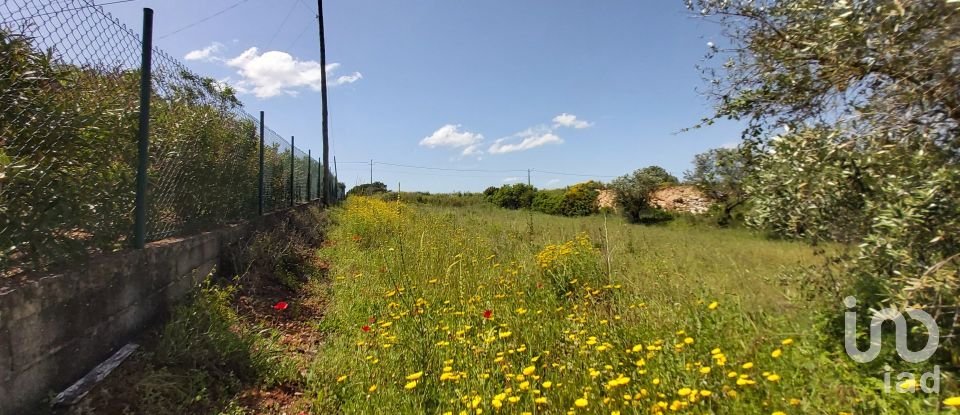 Land in Azambujeira e Malaqueijo of 7,960 m²