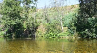 Terrain à São Martinho da Cortiça de 13 700 m²