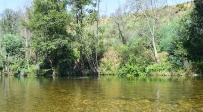 Terrain à São Martinho da Cortiça de 13 700 m²