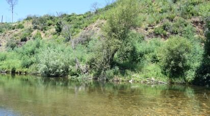 Terrain à São Martinho da Cortiça de 13 700 m²