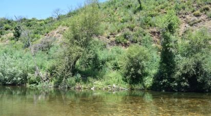 Terrain à São Martinho da Cortiça de 13 700 m²