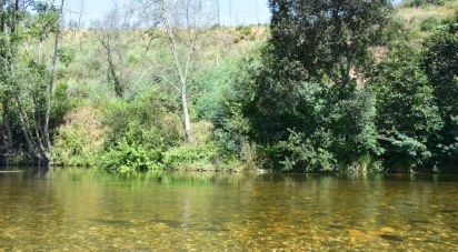 Terrain à São Martinho da Cortiça de 13 700 m²
