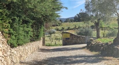 Gîte T4 à Penso e Freixinho de 100 m²