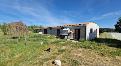 Gîte T4 à Penso e Freixinho de 100 m²