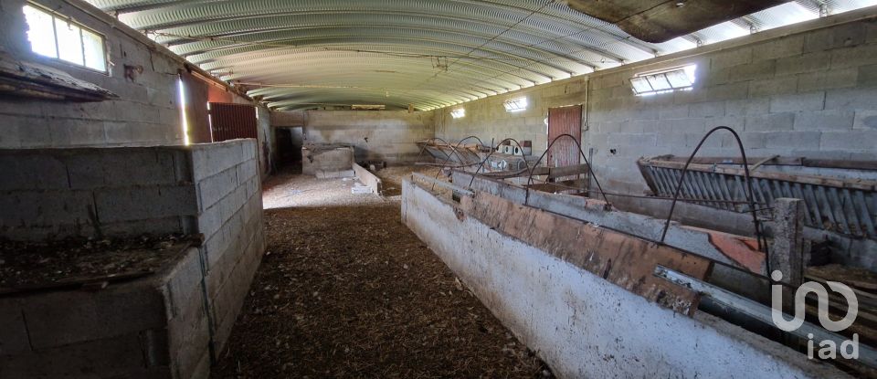 Gîte T4 à Penso e Freixinho de 100 m²