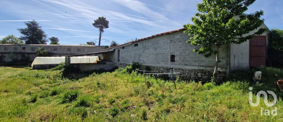 Gîte T4 à Penso e Freixinho de 100 m²