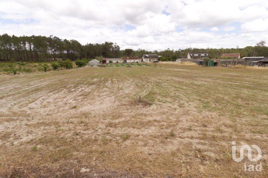 Terrain à Monte Redondo e Carreira de 3 570 m²