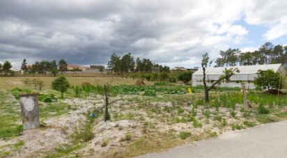 Terrain à Monte Redondo e Carreira de 3 570 m²