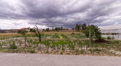 Terrain à Monte Redondo e Carreira de 3 570 m²