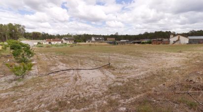 Terrain à Monte Redondo e Carreira de 3 570 m²